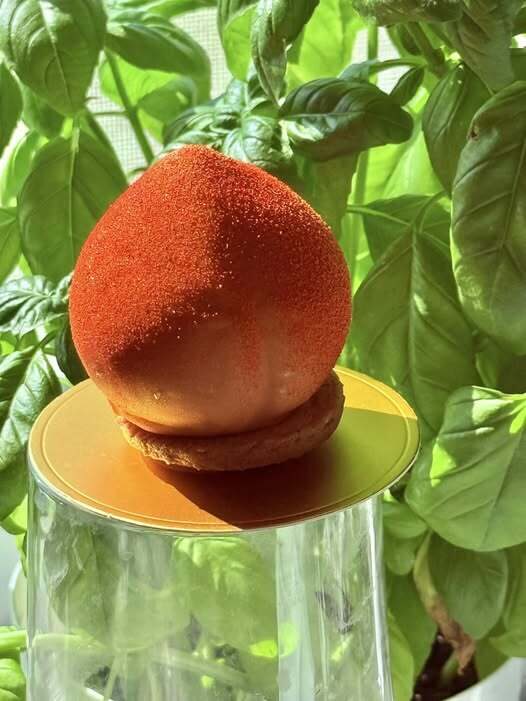 Sárgabarack mousse